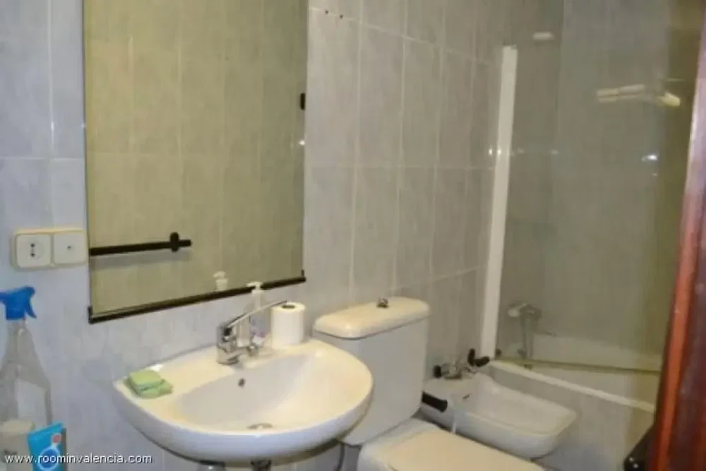 Toilet; tile floor, needs renovation, natural light