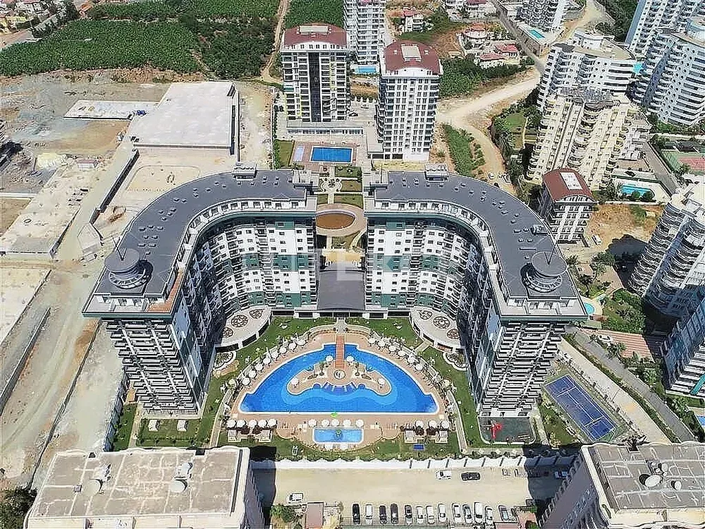 House and surroundings
