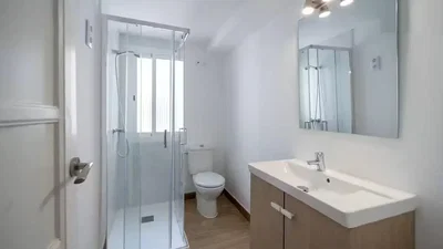 Toilet; natuurlijk licht, gerenoveerd