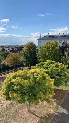 Haus und umgebung; blick, tageslicht
