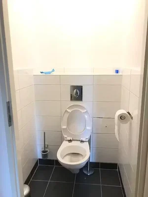 Toilette; fliesenboden, renovierungsbedürftig
