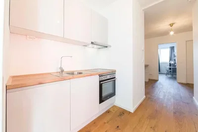 Kitchen; kitchen appliances, wood floor, natural light
