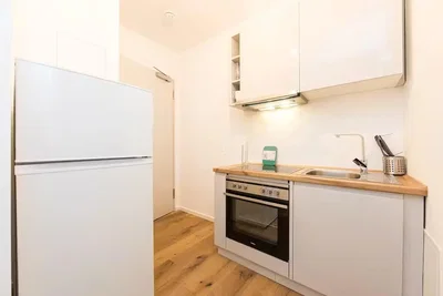 Cuisine; électroménager, parquet, lumière naturelle
