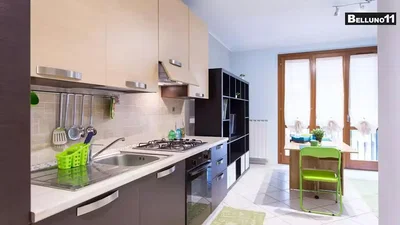 Кухиња; кухињски апарати, природно светло, модерни стил