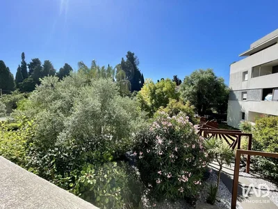 House and surroundings; natural light, view