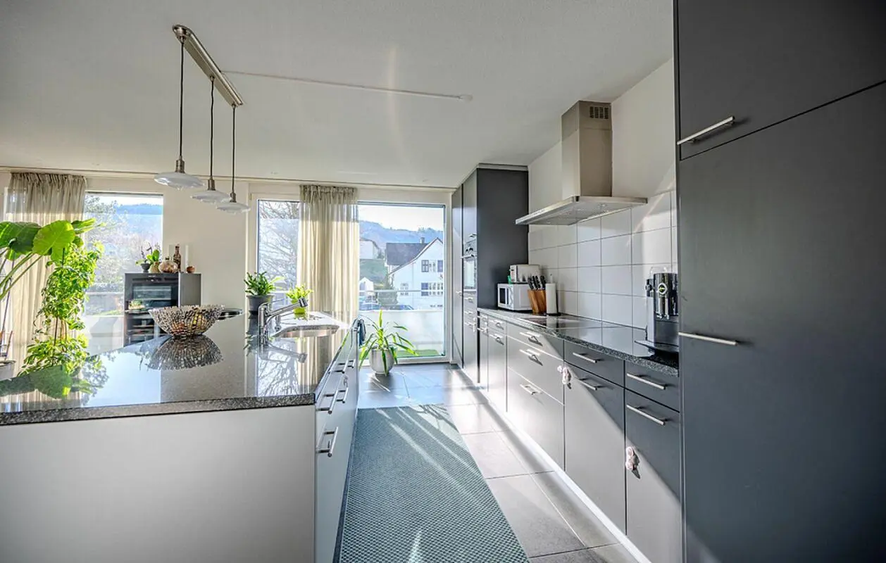 Kuhinja; kuhinjski aparati, prirodno svjetlo, moderni stil