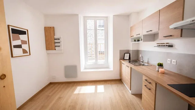 Kuhinja; kuhinjski aparati, drveni pod, prirodno svjetlo, moderni stil, renoviran