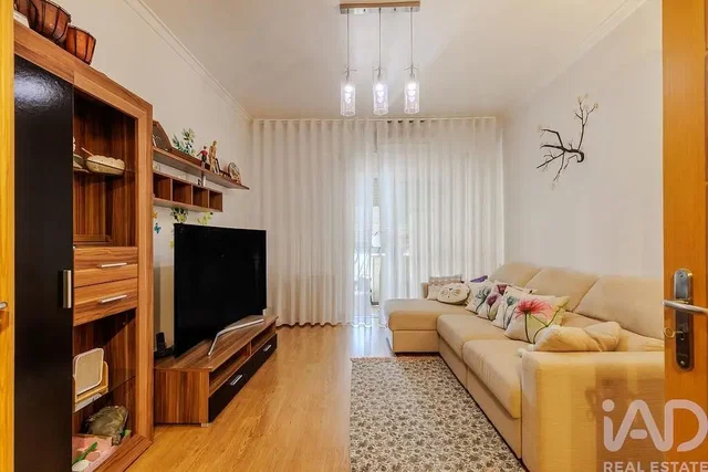 Living room; natural light, modern style