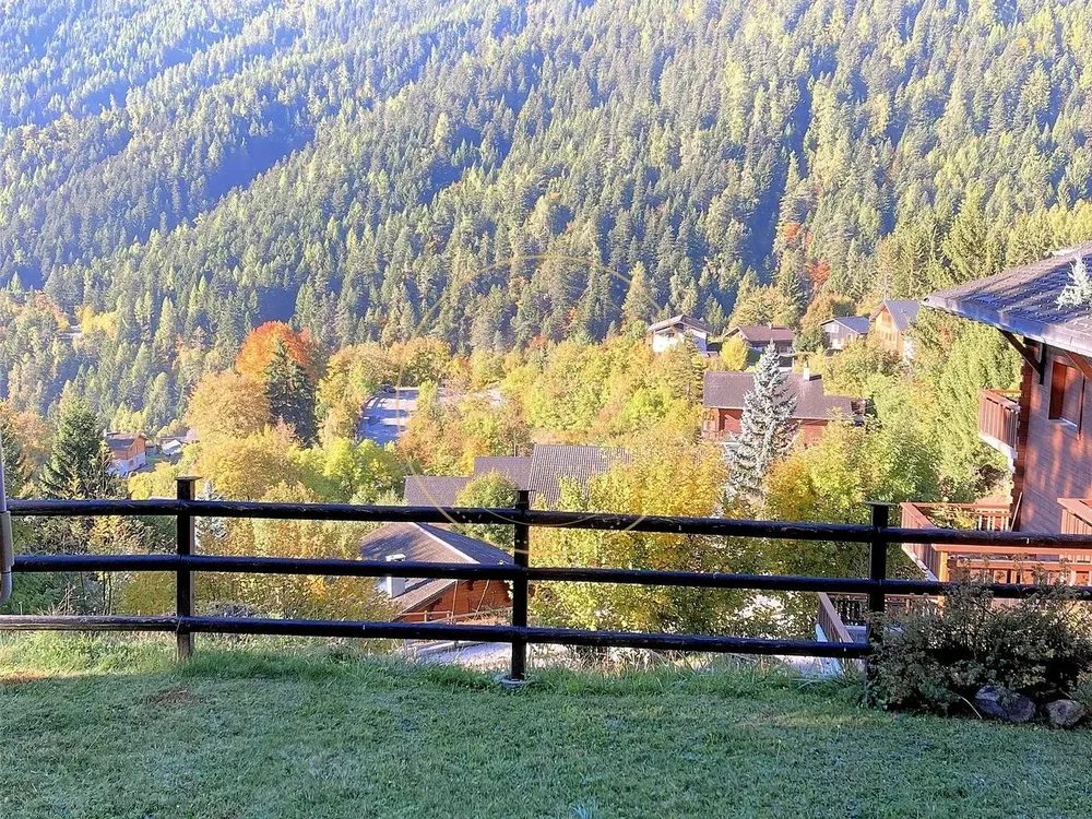 House and surroundings; view, natural light