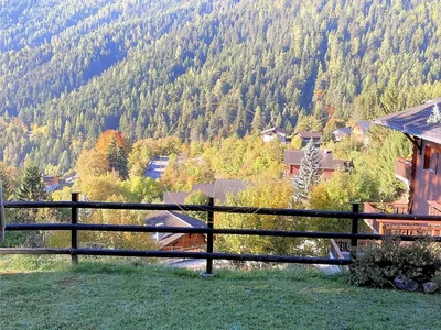 House and surroundings; view, natural light