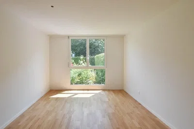 Other; wood floor, natural light
