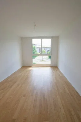 Other; wood floor, natural light