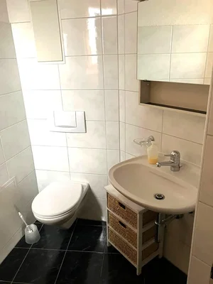 Toilette; pavimento in piastrelle, luce naturale