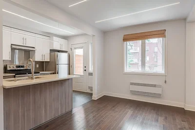 Kitchen; kitchen appliances, wood floor, natural light, modern style, renovated