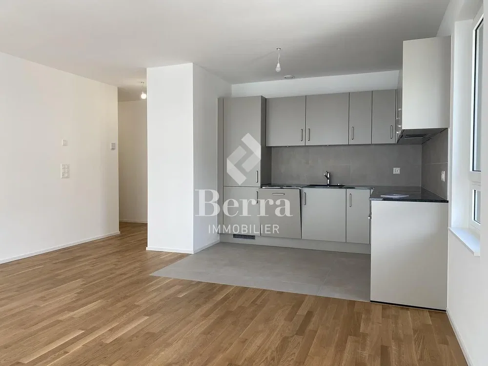 Kitchen; kitchen appliances, wood floor, natural light