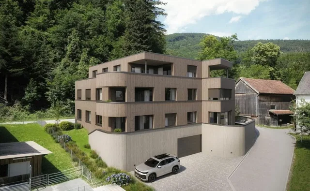 House and surroundings; view