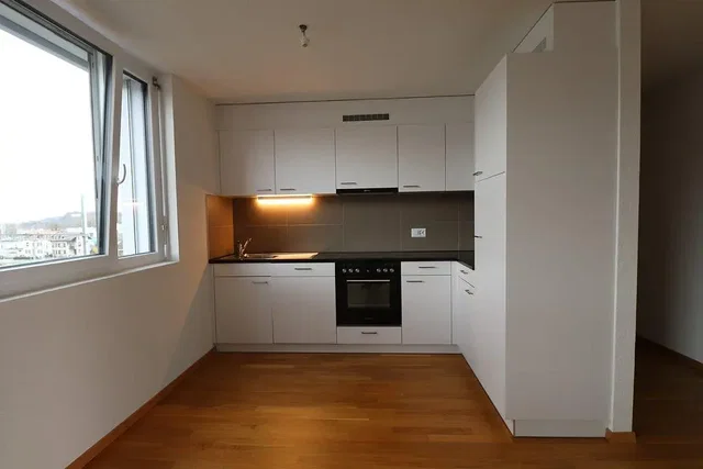 Kuchyně; kuchyňské spotřebiče, výhled, dřevěná podlaha, přirozené světlo