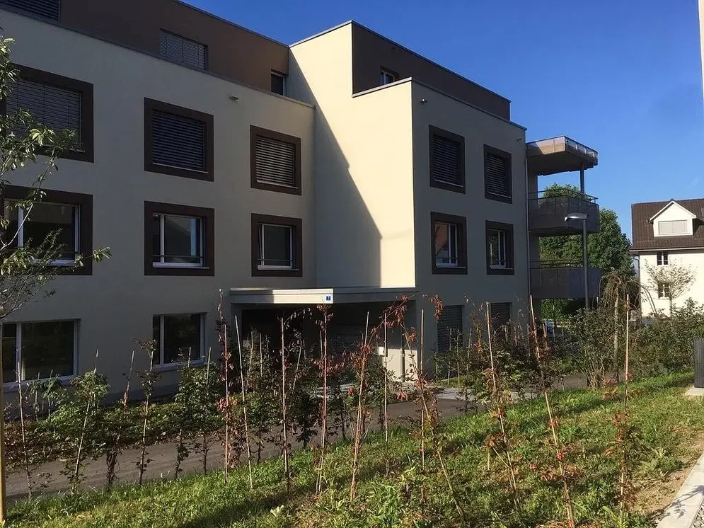 House and surroundings