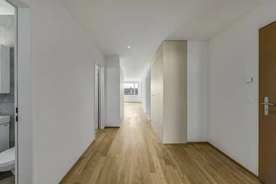 Other; wood floor, natural light