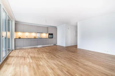 Living room; wood floor, natural light, kitchen appliances