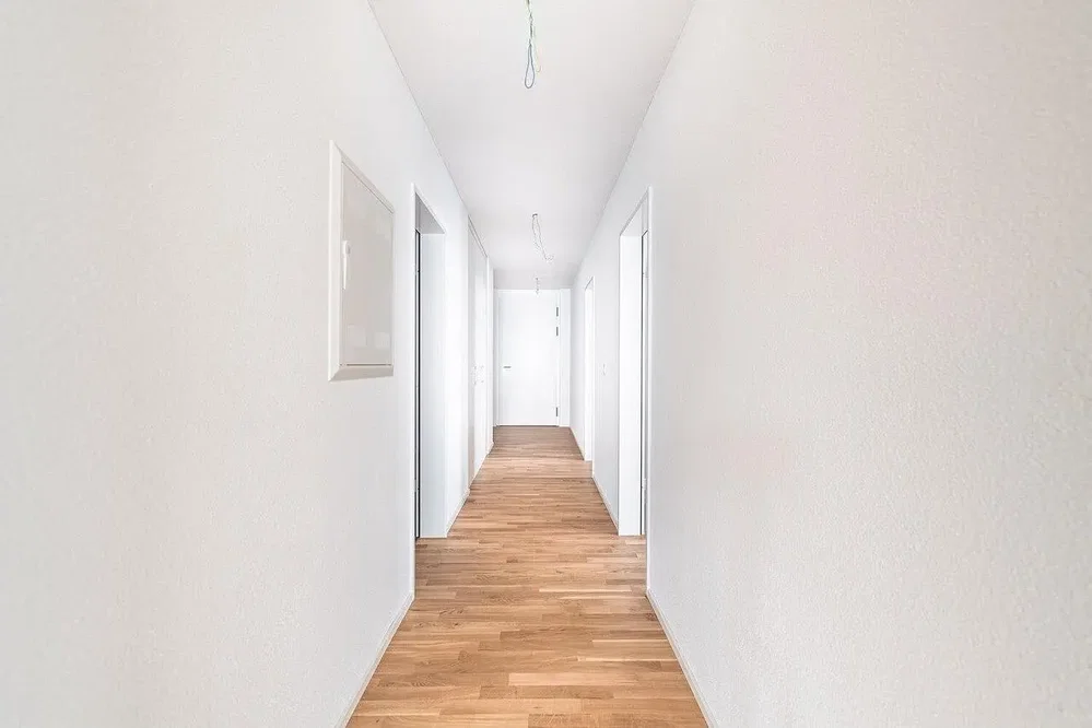 Living room; wood floor, natural light