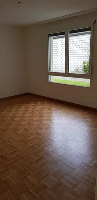 Ostatní; dřevěná podlaha, přirozené světlo