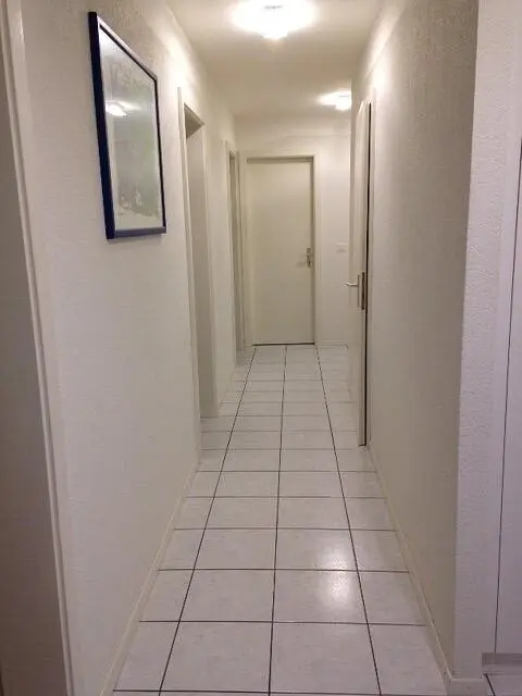 Ostatní; dlažba
