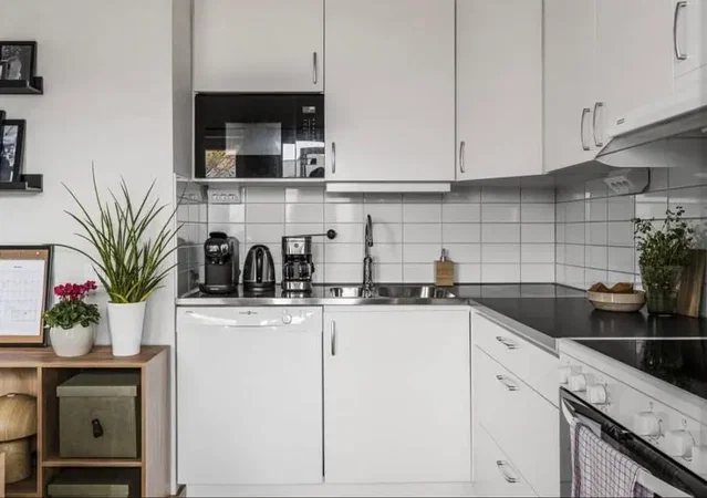 Kuhinja; kuhinjski aparati, prirodno svjetlo, moderni stil
