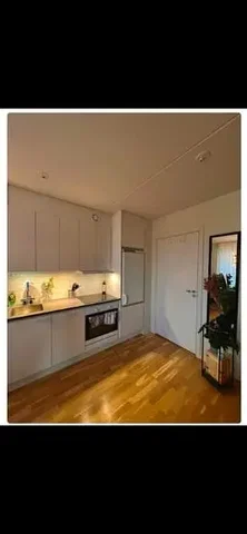 Cozinha; chão de madeira, eletrodomésticos, luz natural