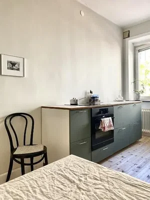 Kuhinja; kuhinjski aparati, drveni pod, prirodno svjetlo