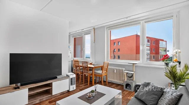 Living room; view, wood floor, natural light, modern style