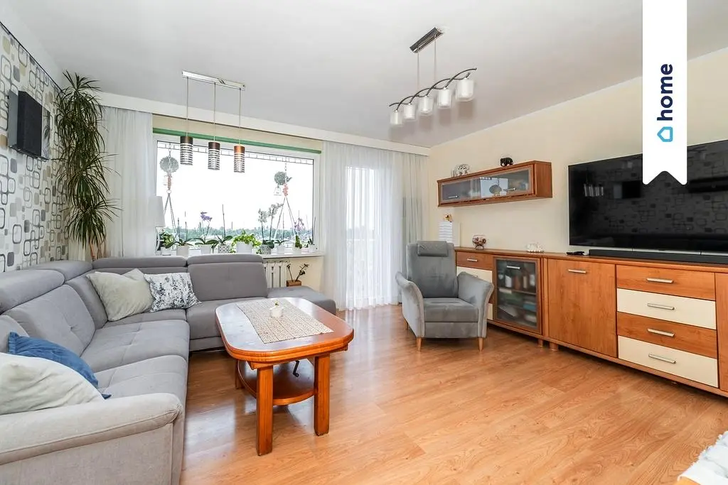 Living room; natural light, wood floor, modern style