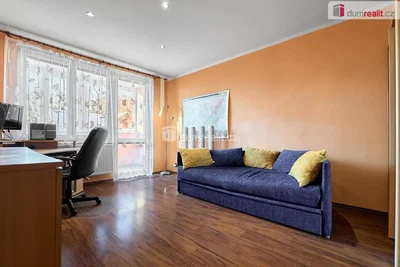 Living room; natural light, wood floor