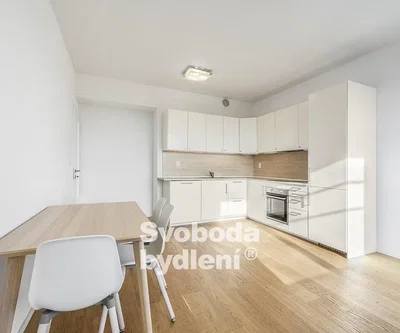 Küche; küchengeräte, holzboden, tageslicht, moderner stil