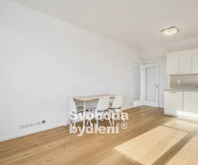 Küche; holzboden, tageslicht, renoviert