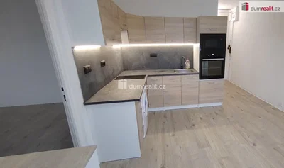 Küche; küchengeräte, renoviert, tageslicht, moderner stil