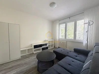 Wohnzimmer; tageslicht, holzboden