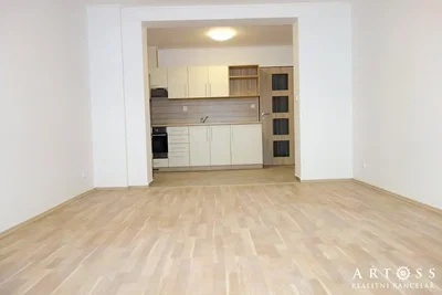Salon; podłoga drewniana, światło dzienne