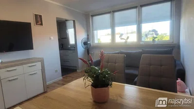 Oturma odası; doğal ışık, ahşap zemin