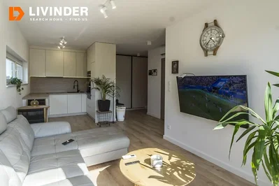 Dnevni boravak; prirodna svjetlost, moderan stil
