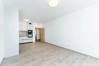 Wohnzimmer; holzboden, küchengeräte, tageslicht, moderner stil
