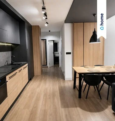 Küche; küchengeräte, holzboden, tageslicht, moderner stil