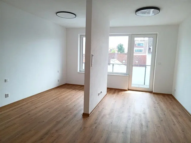 Autre; parquet, lumière naturelle