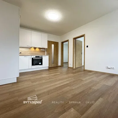 Küche; küchengeräte, holzboden, tageslicht, renoviert