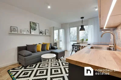 Salon; lumière naturelle, parquet, style moderne, électroménager