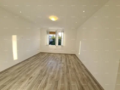 Salon; parquet, lumière naturelle