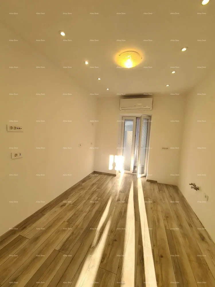 Salon; parquet, lumière naturelle