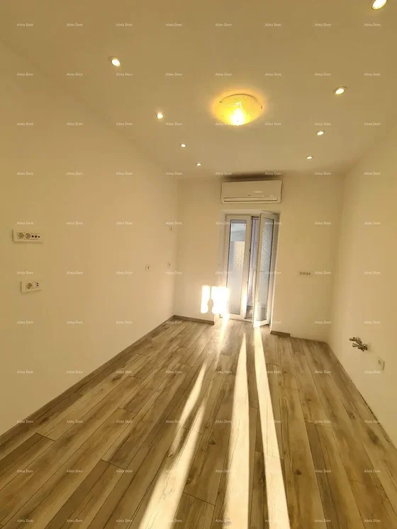 Salon; parquet, lumière naturelle