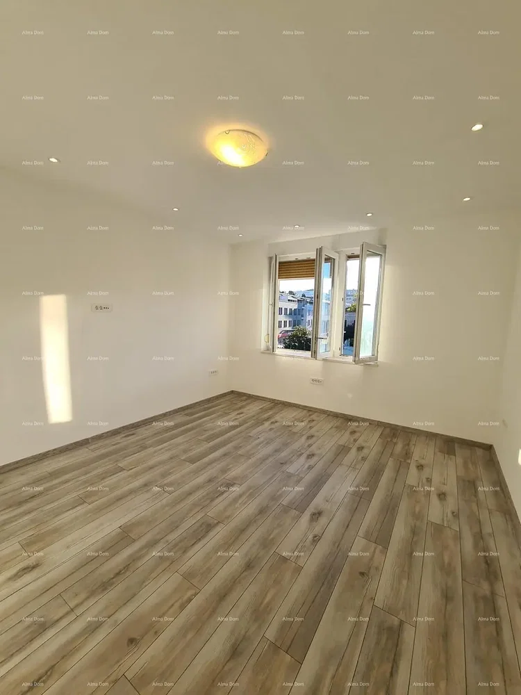 Chambre; parquet, lumière naturelle