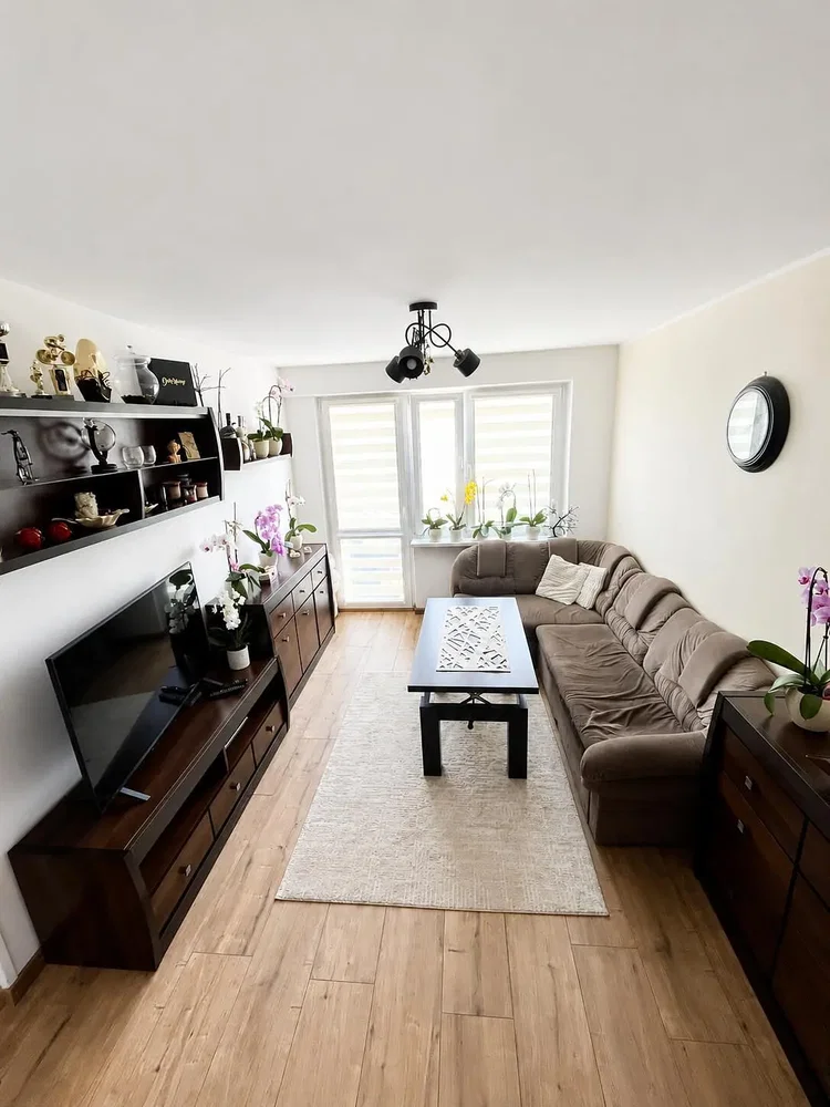 Salon; lumière naturelle, parquet, style moderne